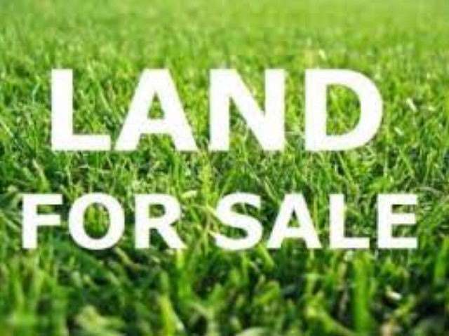 0.39 Acres of Mixed-Use Land for Sale in Valdosta, Georgia