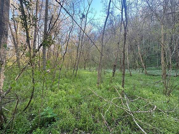 5 Acres of Land for Sale in Burkesville, Kentucky
