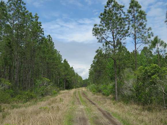 10,594 Acres of Recreational Land & Farm for Sale in Bronson, Florida