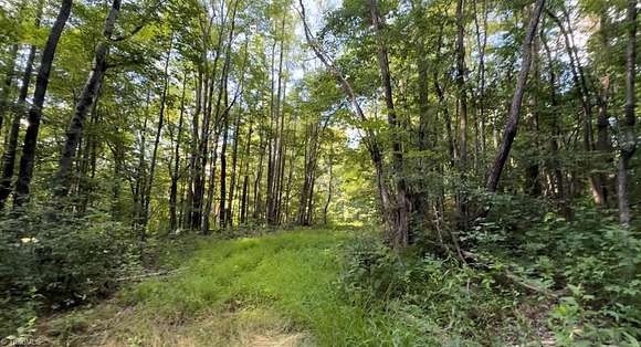8 Acres of Residential Land for Sale in Danbury, North Carolina