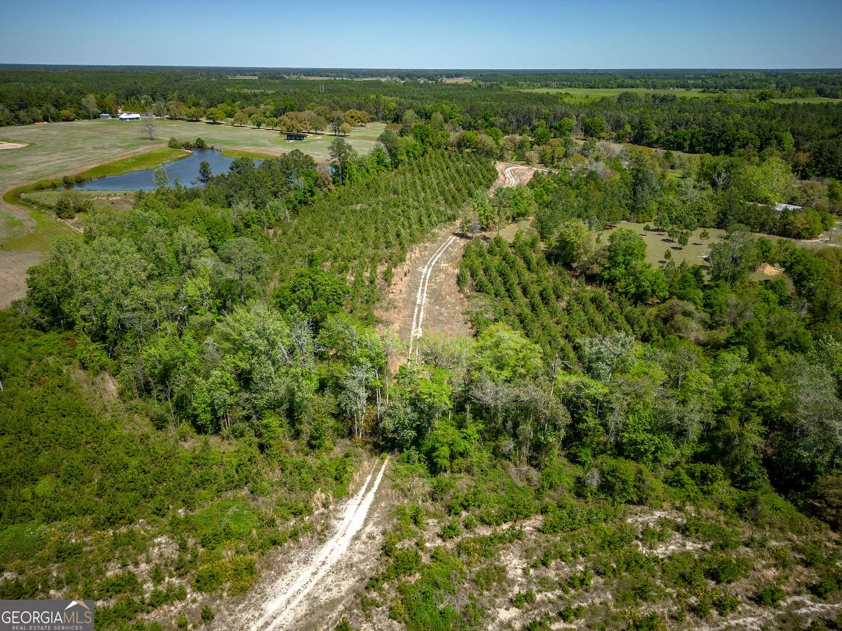 102 Acres of Land for Sale in Alma, Georgia