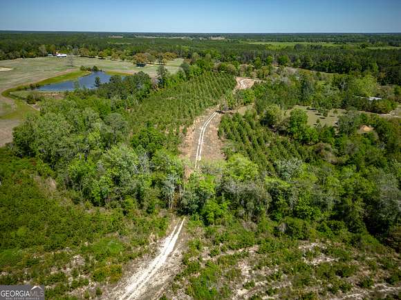 102 Acres of Land for Sale in Alma, Georgia