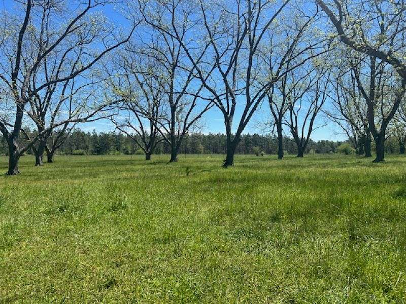 68.6 Acres of Recreational Land & Farm for Sale in Sumner, Georgia