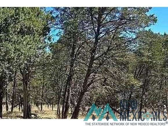 1 Acre of Land for Sale in Timberon, New Mexico