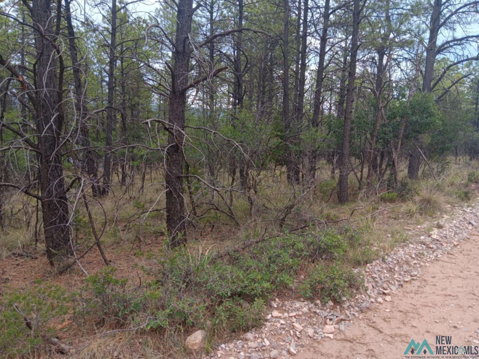 0.34 Acres of Land for Sale in Timberon, New Mexico