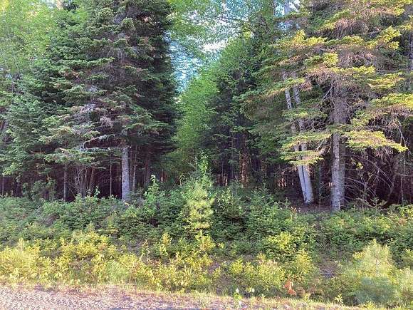 1.1 Acres of Residential Land for Sale in Rangeley, Maine