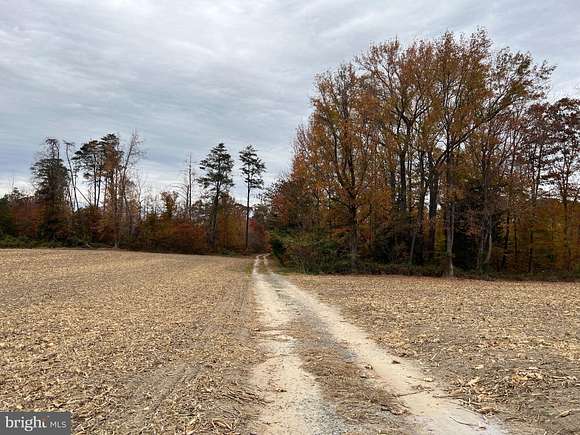 271 Acres of Recreational Land for Sale in Tappahannock, Virginia