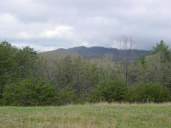 4.5 Acres of Land for Sale in Warne, North Carolina
