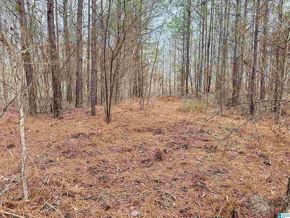 126 Acres of Land for Sale in Talladega, Alabama