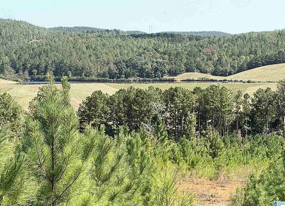 126 Acres of Recreational Land for Sale in Talladega, Alabama