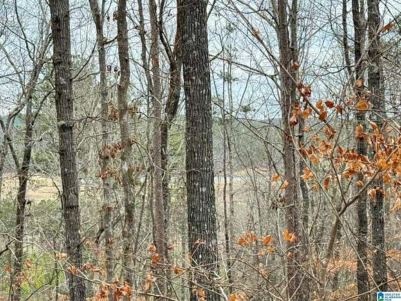 126 Acres of Recreational Land for Sale in Talladega, Alabama