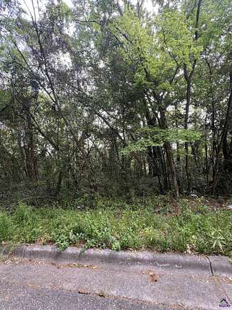 0.15 Acres of Residential Land for Sale in Macon, Georgia
