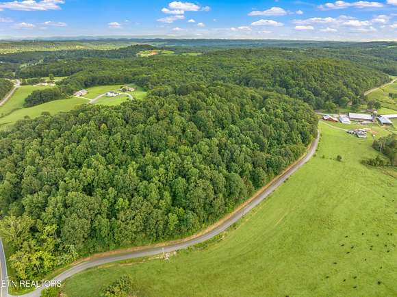 5 Acres of Residential Land for Sale in Niota, Tennessee