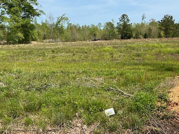 5.2 Acres of Recreational Land & Farm for Sale in Luverne, Alabama