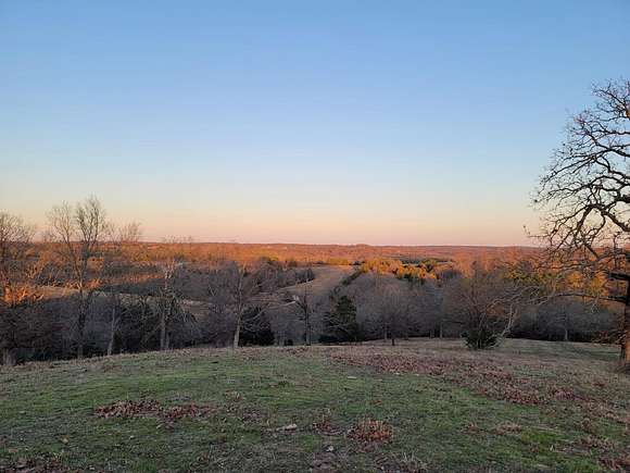 96 Acres of Land for Sale in Gainesville, Missouri