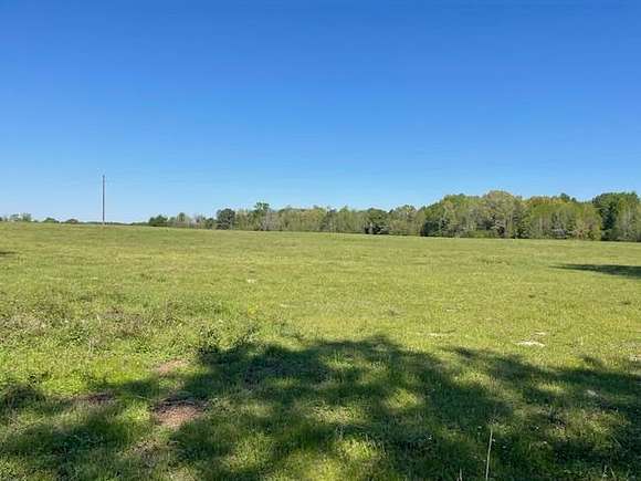 146 Acres of Recreational Land & Farm for Sale in Linden, Texas