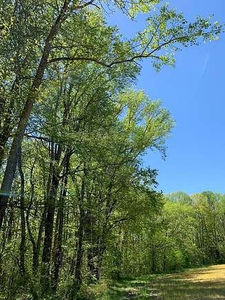 13 Acres of Recreational Land & Farm for Sale in Townsville, North Carolina