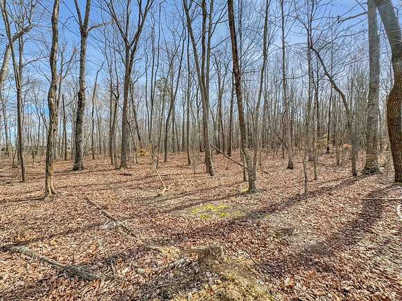 5.9 Acres of Land for Sale in Belvidere, Tennessee