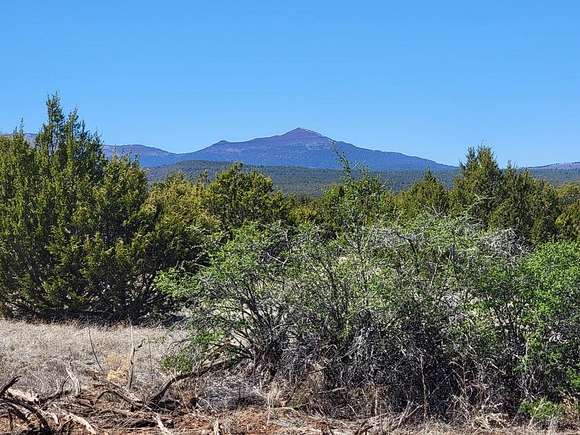 10.4 Acres of Land for Sale in Tajique, New Mexico