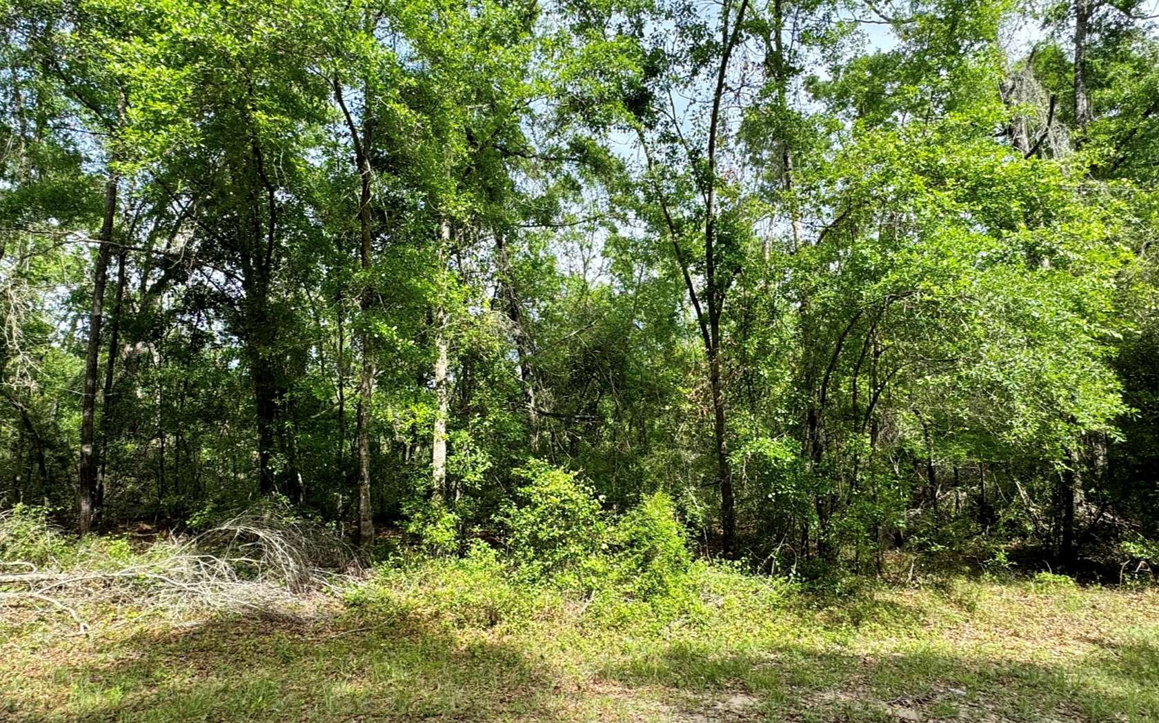 1.5 Acres of Residential Land for Sale in Jennings, Florida