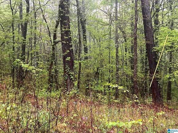3 Acres of Land for Sale in Lincoln, Alabama