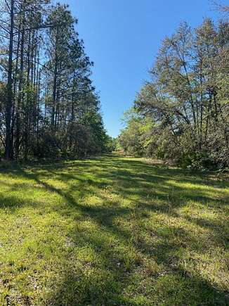 115 Acres of Agricultural Land for Sale in Mayo, Florida