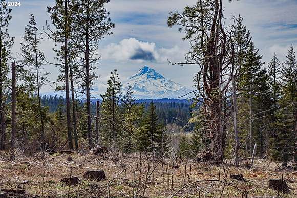 21.94 Acres of Recreational Land for Sale in White Salmon, Washington
