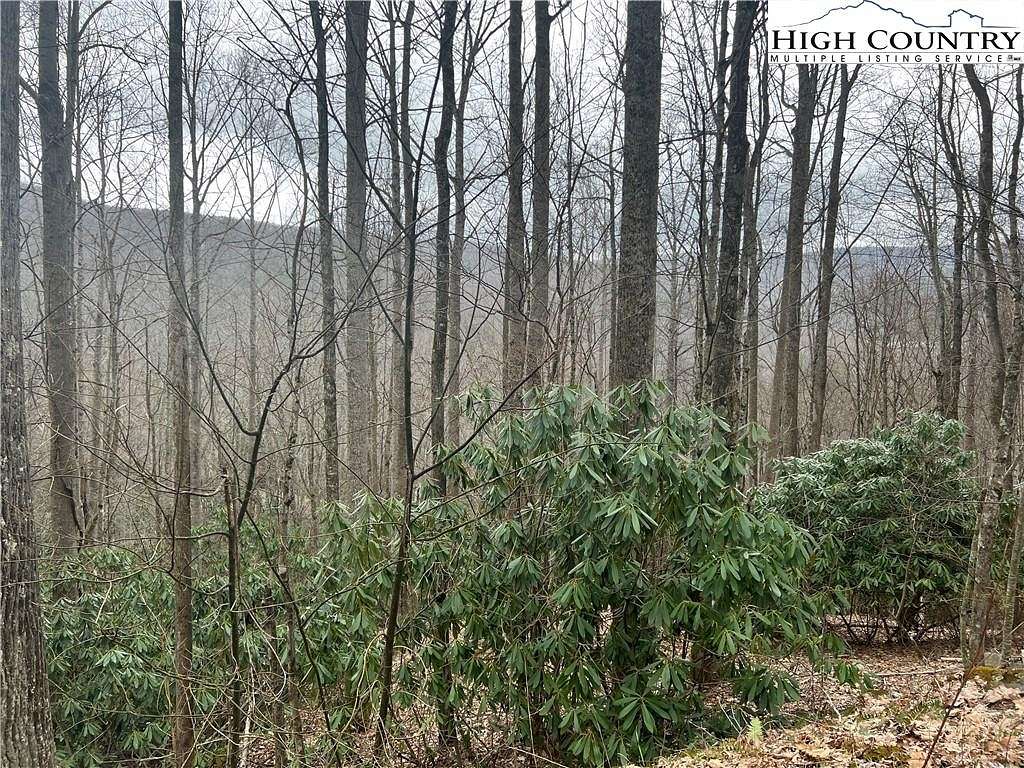 0.41 Acres of Land for Sale in Beech Mountain, North Carolina