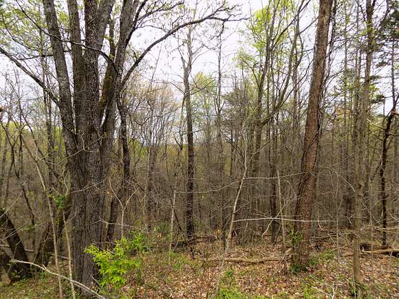 8.9 Acres of Residential Land for Sale in Newport, Tennessee