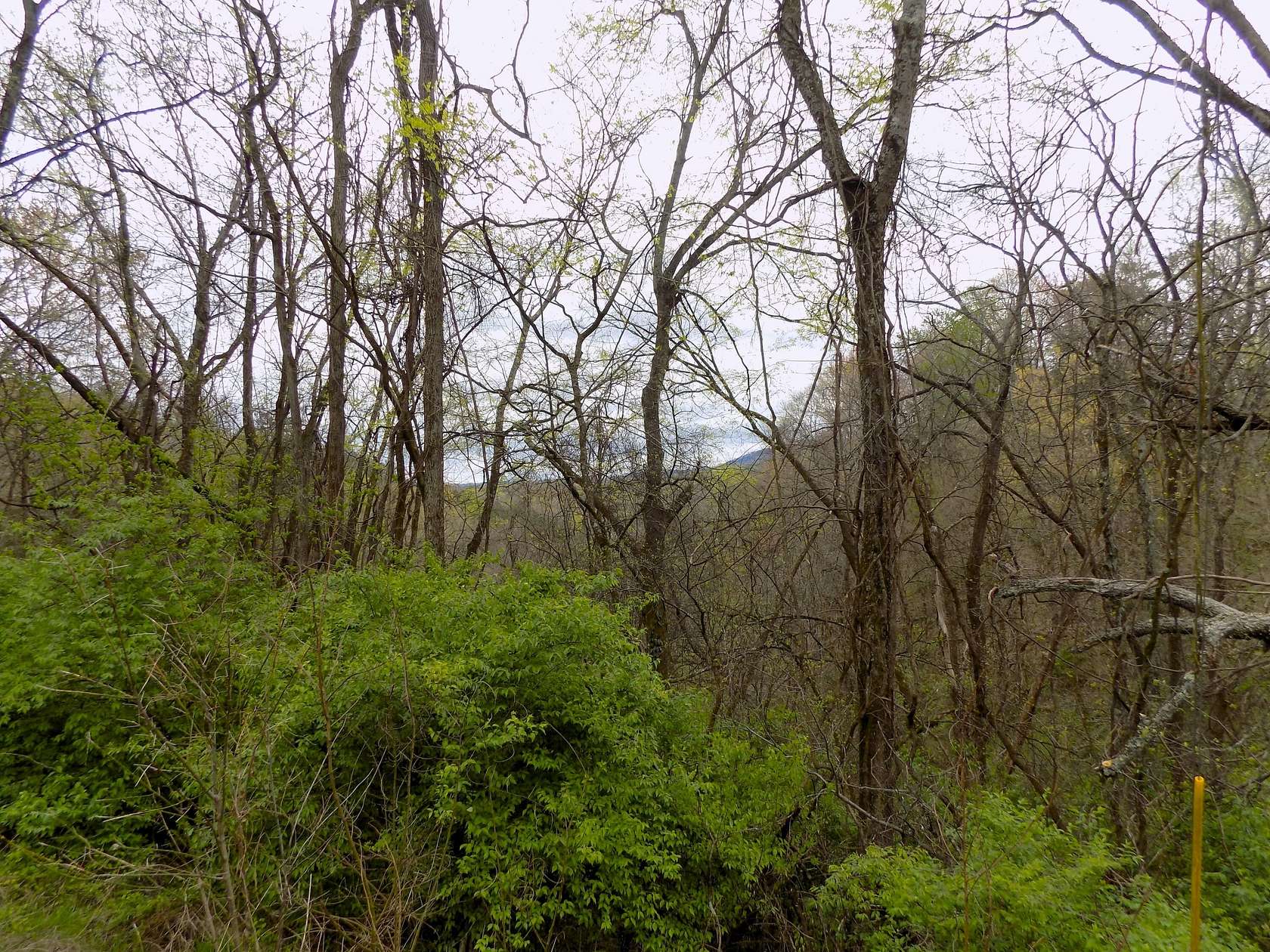 7.6 Acres of Residential Land for Sale in Newport, Tennessee