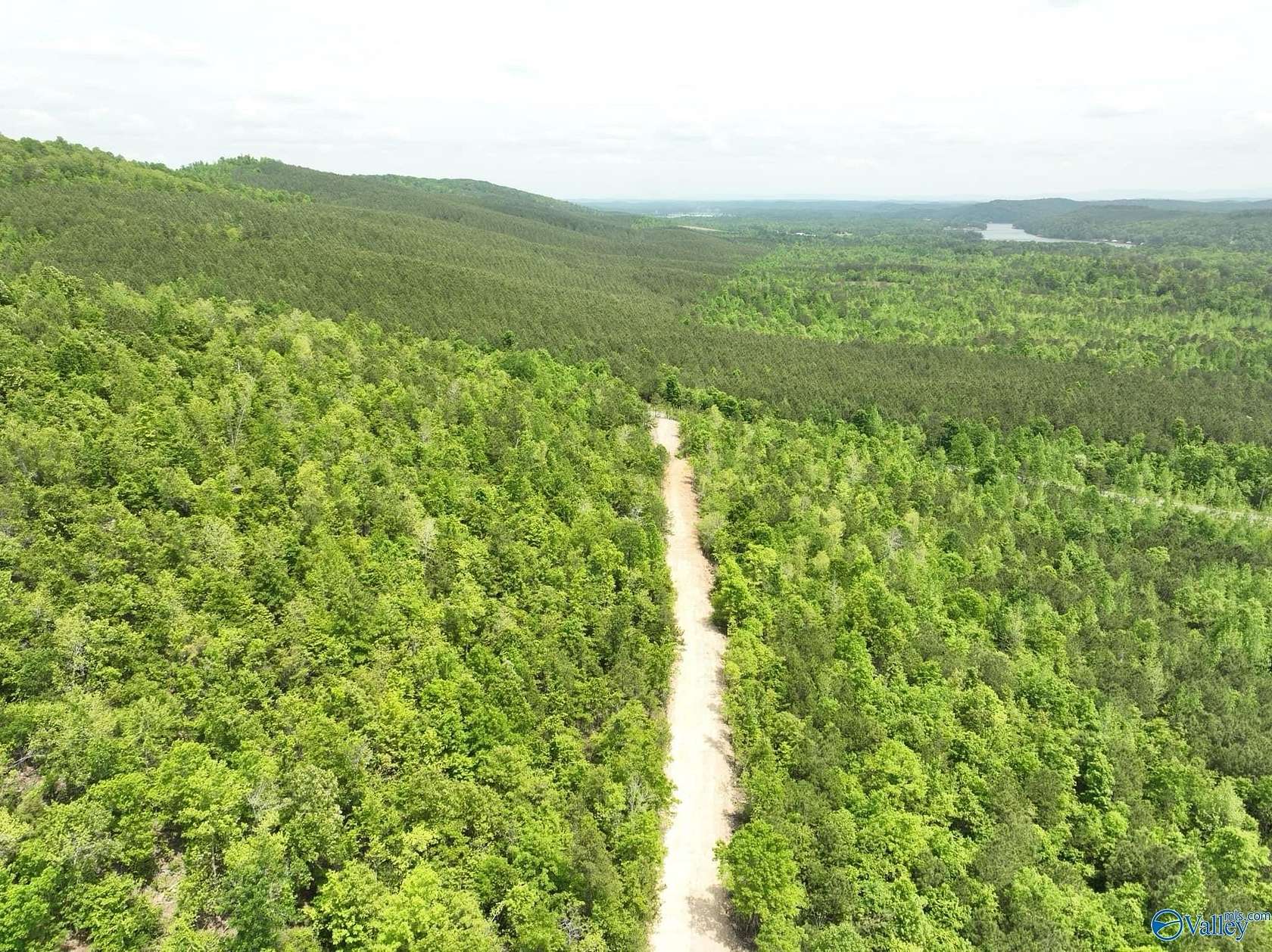 170 Acres of Recreational Land for Sale in Ashville, Alabama