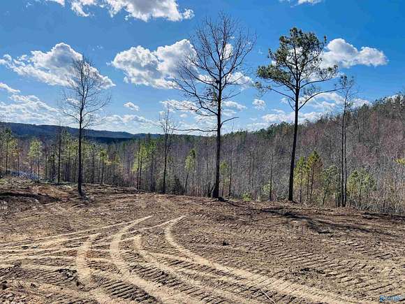 170 Acres of Recreational Land for Sale in Ashville, Alabama