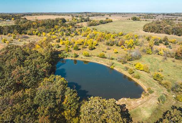 41.5 Acres of Land for Sale in Halfway, Missouri