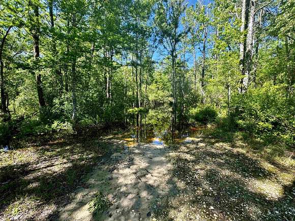 22 Acres of Recreational Land for Sale in Lamont, Florida