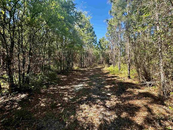 22 Acres of Recreational Land for Sale in Lamont, Florida