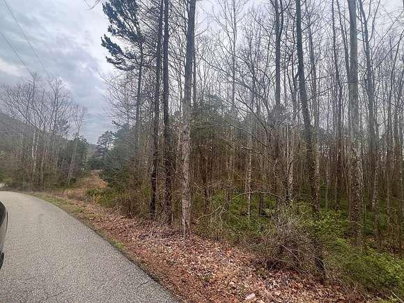 5.8 Acres of Residential Land for Sale in Louisa, Kentucky
