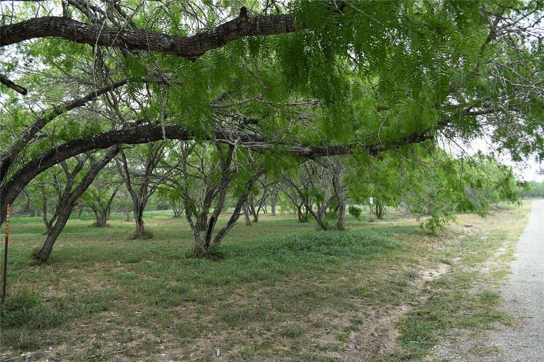 3 Acres of Residential Land for Sale in Mathis, Texas
