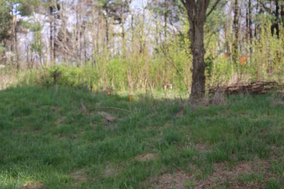 2 Acres of Residential Land for Sale in Greenville, Kentucky