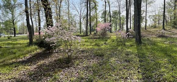 7.5 Acres of Residential Land for Sale in Alexander City, Alabama
