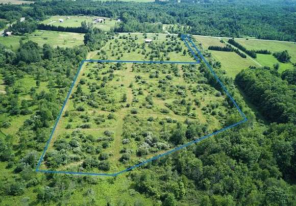 10.1 Acres of Land for Sale in Hector, New York