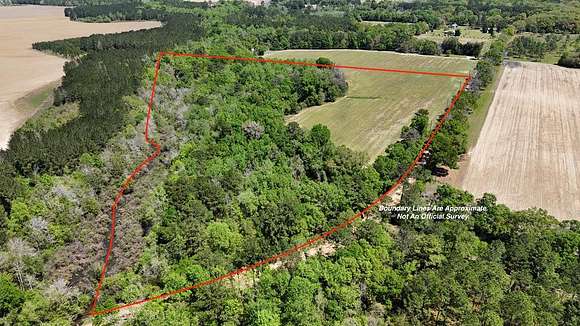 19.7 Acres of Land for Sale in Ochlocknee, Georgia