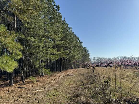 64 Acres of Land for Sale in Ward, South Carolina