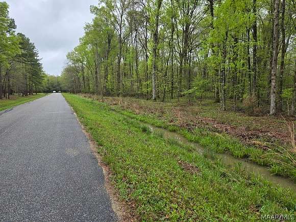 9.3 Acres of Residential Land for Sale in Cecil, Alabama