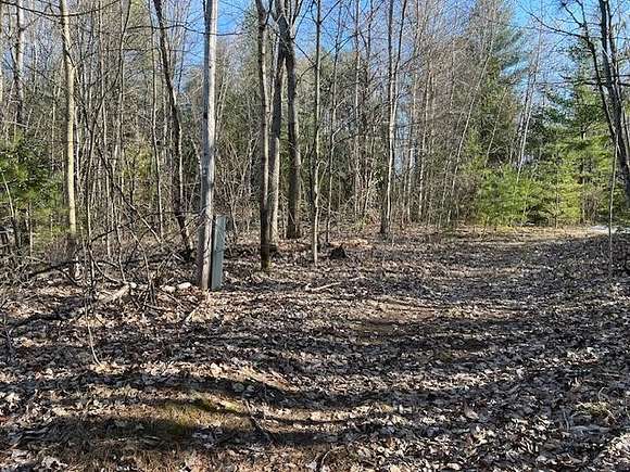 25 Acres of Recreational Land for Sale in Cadyville, New York