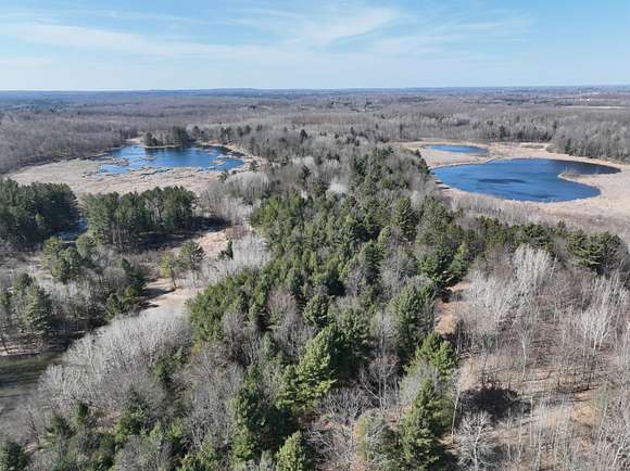 148 Acres of Recreational Land for Sale in Le Roy, Michigan
