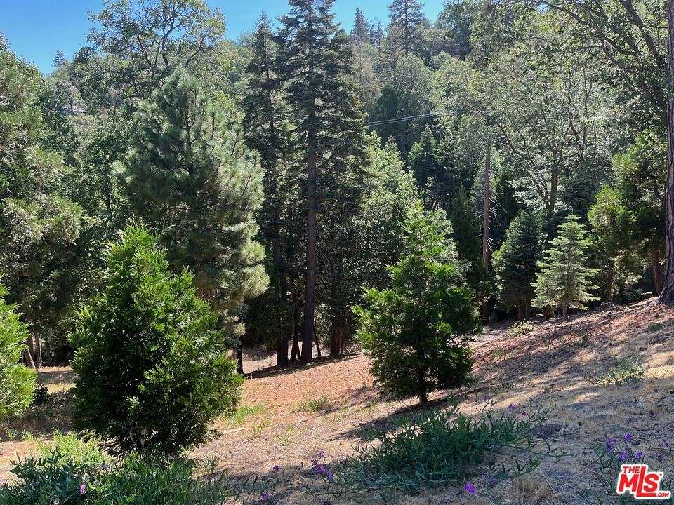 0.49 Acres of Residential Land for Sale in Lake Arrowhead, California