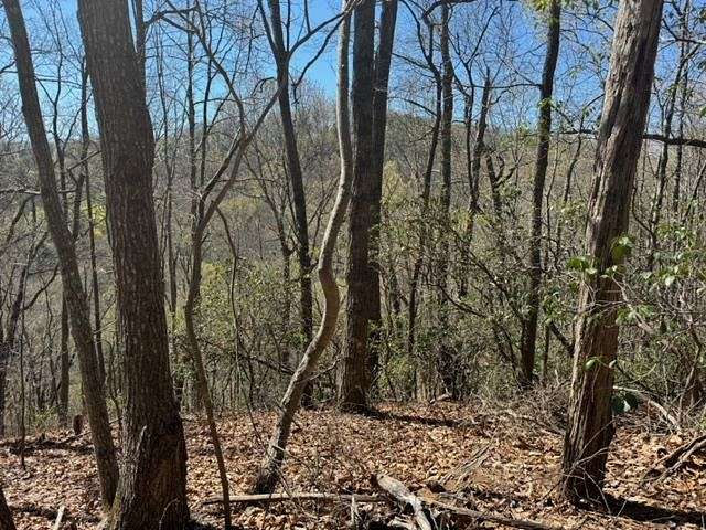 5.8 Acres of Recreational Land for Sale in Landrum, South Carolina