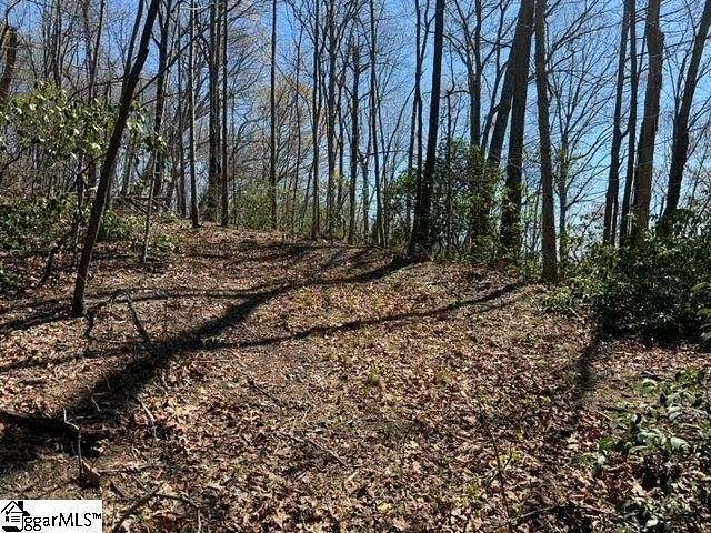 5.8 Acres of Residential Land for Sale in Landrum, South Carolina