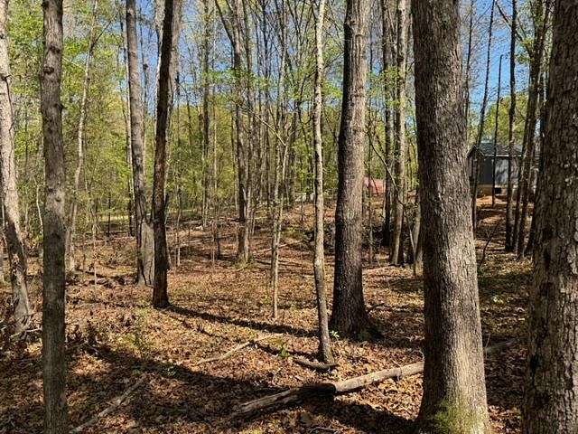 0.52 Acres of Land for Sale in Laurens, South Carolina