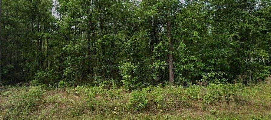 0.24 Acres of Residential Land for Sale in Palatka, Florida